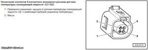 a8823d159dd9.jpg