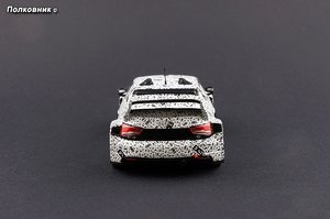 DSC08667 копия.jpg