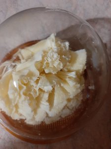 20210129_173051.jpg
