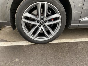 IMG_2298.jpg
