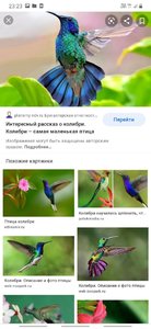 Screenshot_20210308-232357_Chrome.jpg