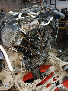 IMG_20170615_173929.jpg