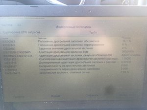 IMG_2369.JPG