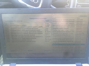 IMG_2375.JPG
