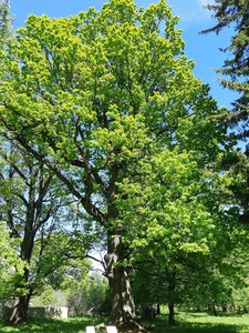 20190519_124839.jpg