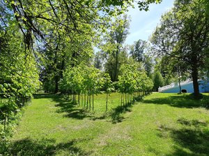 20190519_125004.jpg