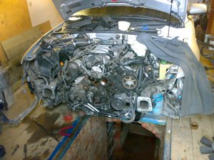 29052010529.jpg