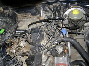 Resize of PC230026.JPG