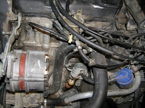 Resize of PC230027.JPG