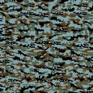 A5-075_S_Camouflaged8.jpg