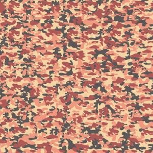 A5-089_S_Camouflage.jpg