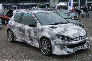 Camo-206.jpg
