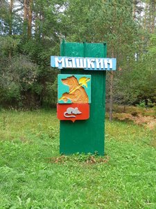 20190824_160954.jpg