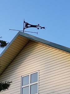 20190824_190758.jpg