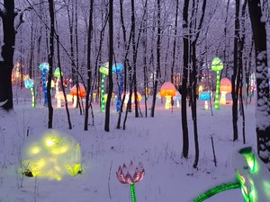20200111_163455.jpg