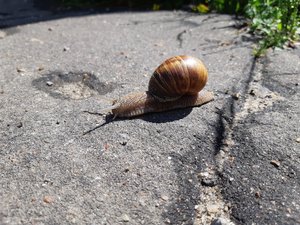 20190706_121235.jpg