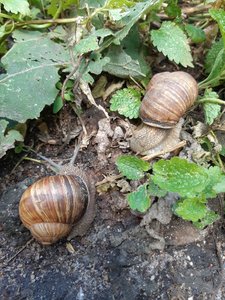 20190706_121439.jpg