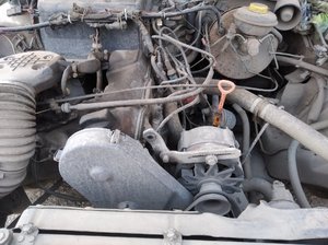 IMG_20210404_181019.jpg