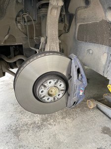 IMG_1230.jpg