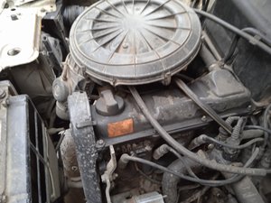 IMG_20210418_181021.jpg