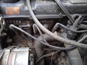 IMG_20210418_181019.jpg