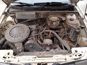 IMG_20210418_181009.jpg