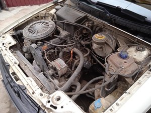 IMG_20210418_181037_1.jpg