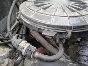 IMG_20210418_181026.jpg