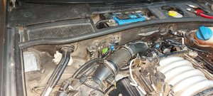 20210427_173956.jpg