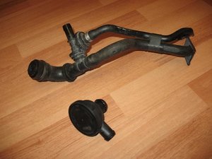 IMG_2729.jpg