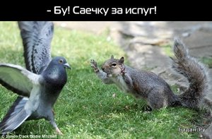 1275477202_03-06-10_6_1 зззз.jpg