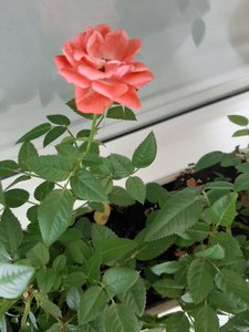 20210630_102436.jpg