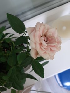 20210630_102454.jpg