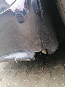 IMG_20210707_131924.jpg