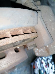 IMG_20210709_202241.jpg