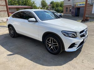IMG_1560.jpg