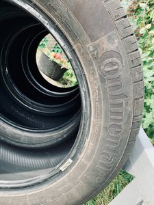 IMG_5035.jpg