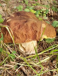 20210829_141243.jpg