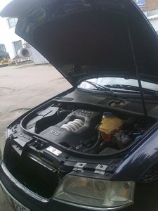 21062010260.jpg