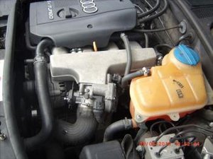 public_1325473_5.jpg
