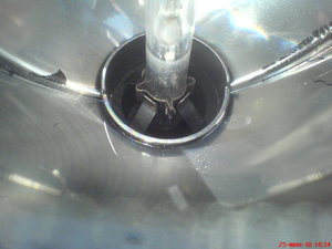 DSC09000.JPG