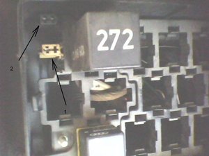 IMG0004A2.jpg