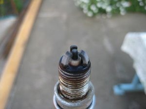 IMG_1032s.jpg