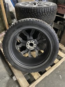 IMG_8799.JPG