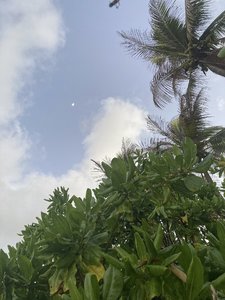 C5136D8F-0349-4F0D-8897-2C0BBA5B48BB.jpeg
