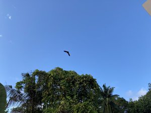 2901141C-6AF0-4B0A-A602-7193E4973110.jpeg