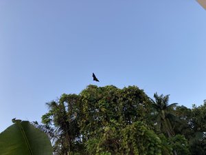 A85392C3-800F-4A4A-9515-9955272E7851.jpeg
