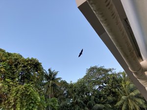 C061479A-F426-4A19-A0CC-E6E2C98BF354.jpeg