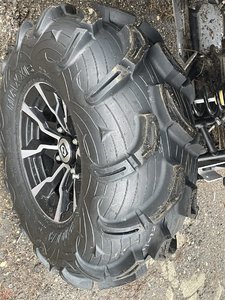 E42C4A8A-4C9B-47F3-9FCA-75CA687BAAF2.jpeg