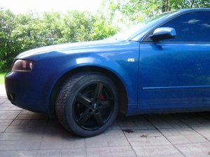 IMG_3777.JPG